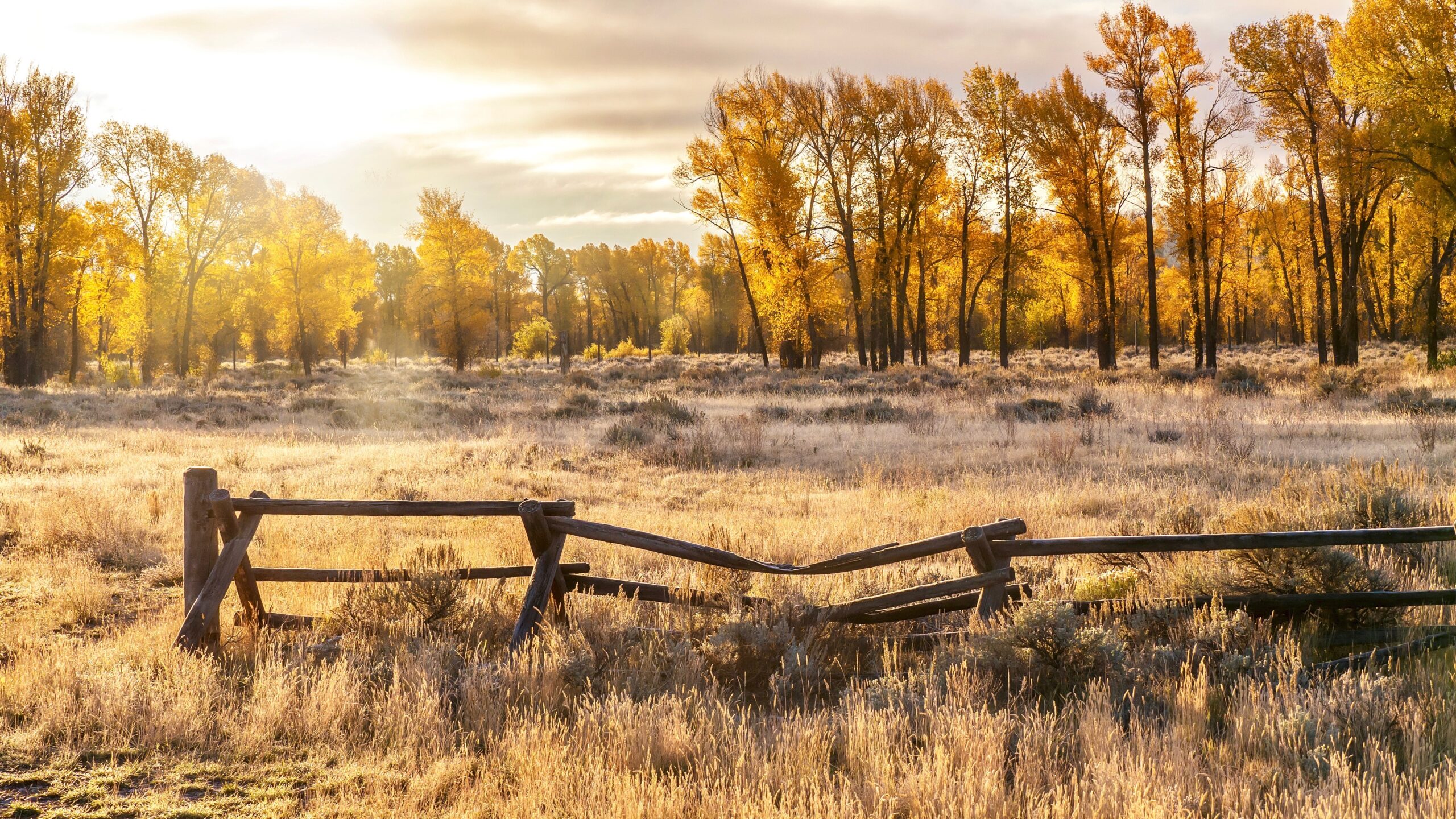 An autumn landscape scene in Jackson Hole, Wyoming, including an